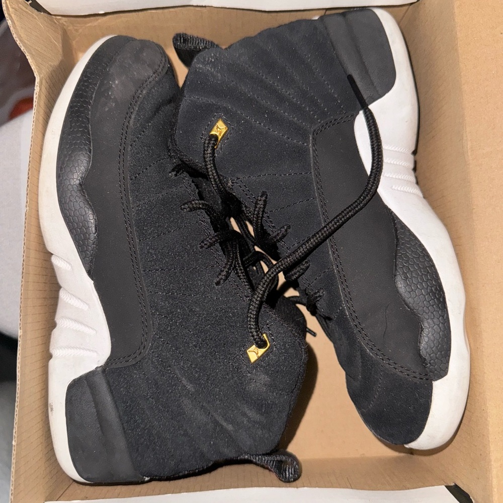 Jordan Retro 12